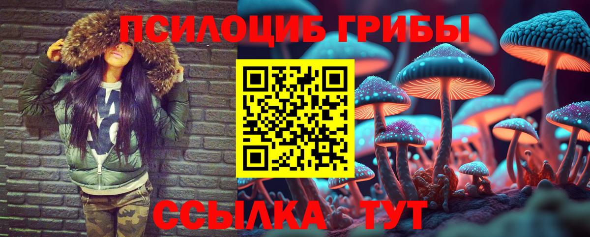 Галлюциногенные грибы Cubensis Дятьково